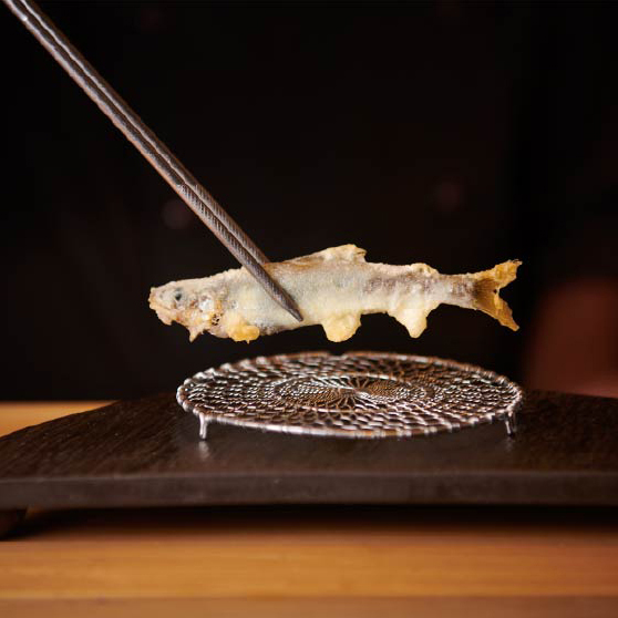 天魅羅 daiju 写真